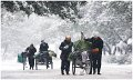 758 - walking on the snow road - YU Shimin - china